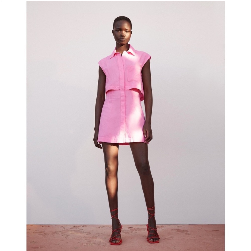 Zara Pink Sleeveless Mini Dress